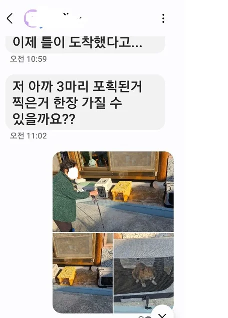고양이 구조 사례 메시지