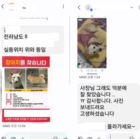 해남 강아지 구조 사례