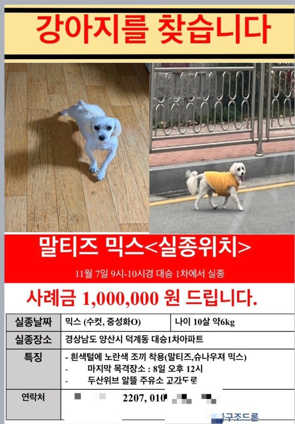 양산 강아지 구조 사례