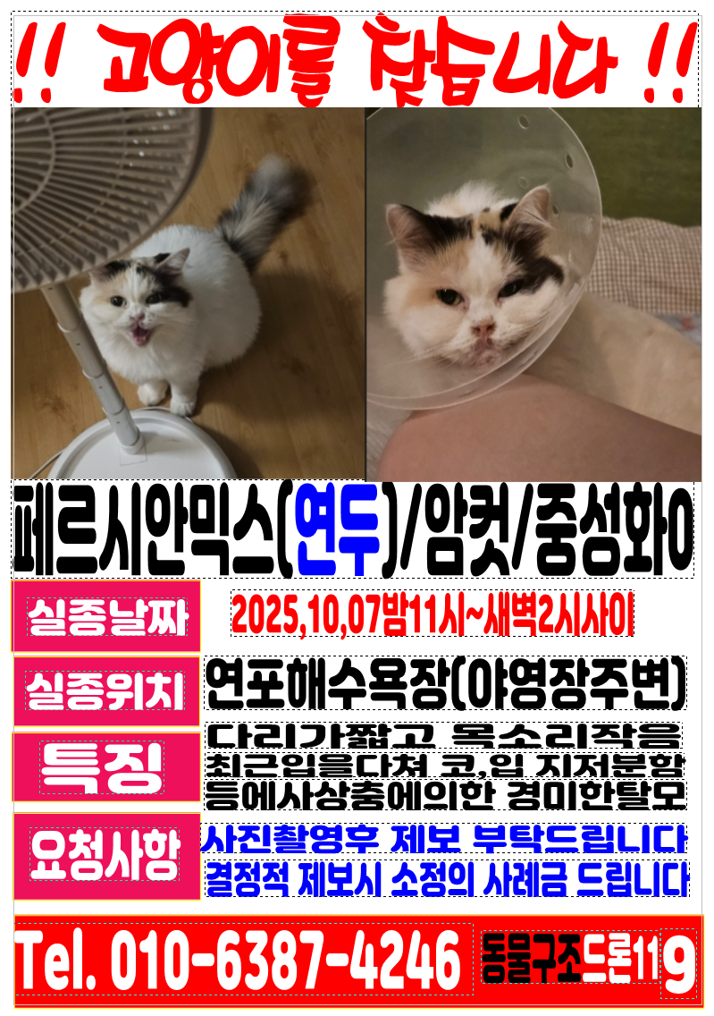 e0a4b9ef9c0a2 (1).png