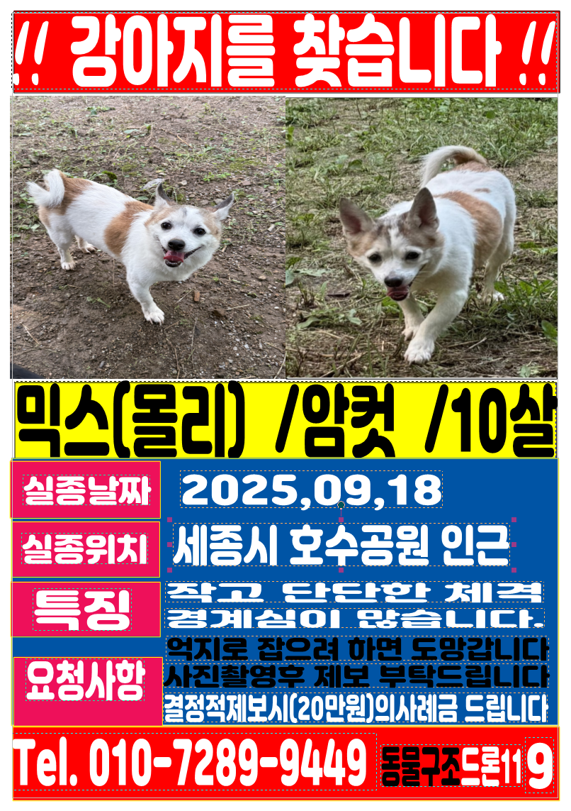 d7eb33c069ee0 (1).png